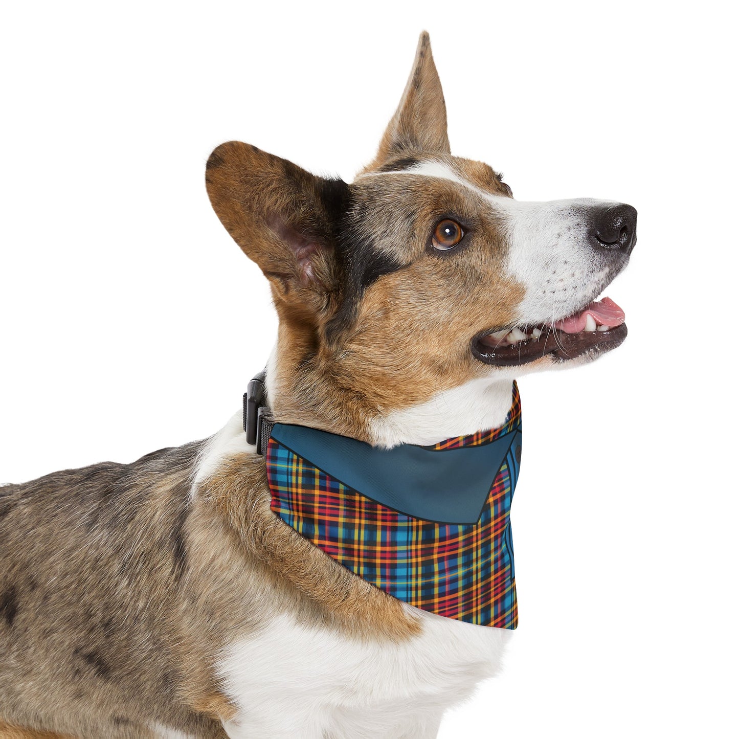 Polo Bandana Collar - Rad In Plaid