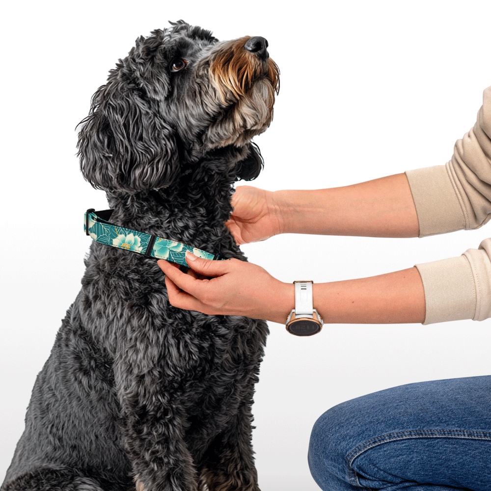 Plush Collar - Blossom Bling - Green