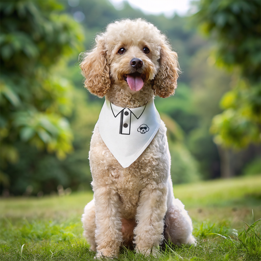 Classic Polo Bandana Collar - White